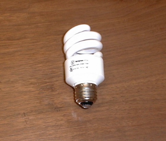 Compact Fluorescent Light Bulb