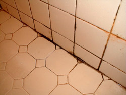 tile mold