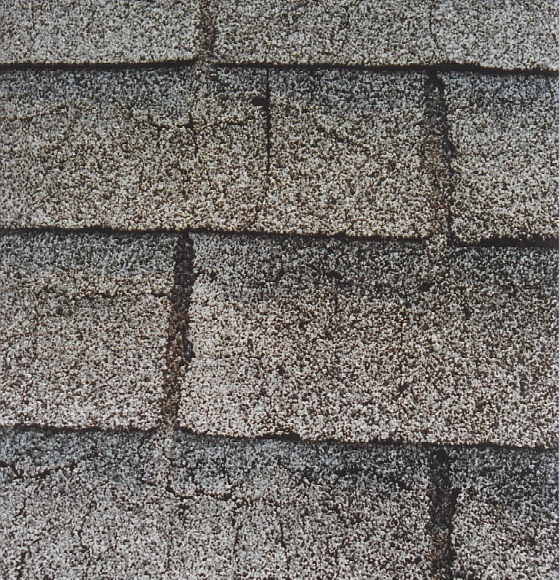 shingles close up