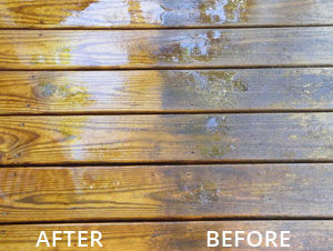 Stain Solver Deck cleaning