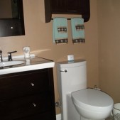 Ugly bathroom remodel - new vanity