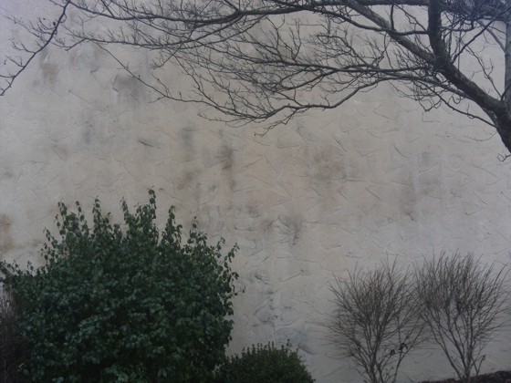 This stucco wall has to be cleaned and sealed before the final paint is applied. Photo Credit: Doug Prehm