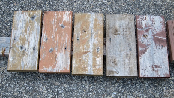 These are cedar wood samples. All of the stain products have now failed. Photo credit: Tim Carter