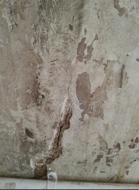 moldy plaster