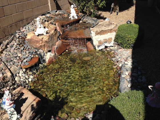 Here's Joe's pond and waterfall. Photo credit: Joe Spinelli