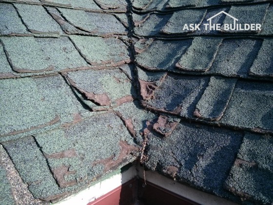 These shingles were supposed to last over 30 years, but after just 14 years, they need to be replaced! Photo credit: Tim Carter