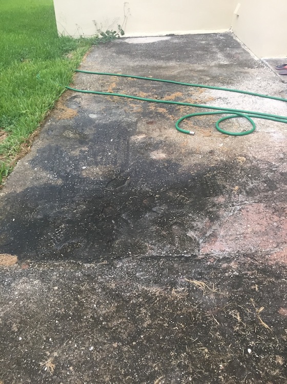 Here's Jim's moldy patio. It could be made with inferior concrete that's too thin.