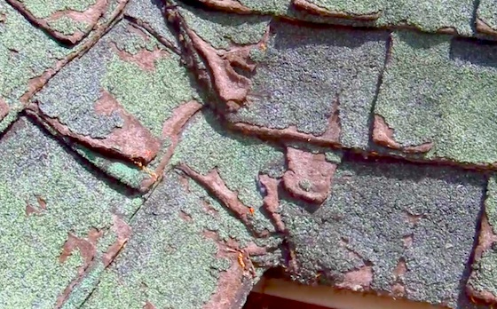 defective shingles