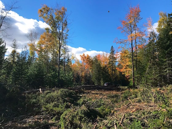 cleared building lot