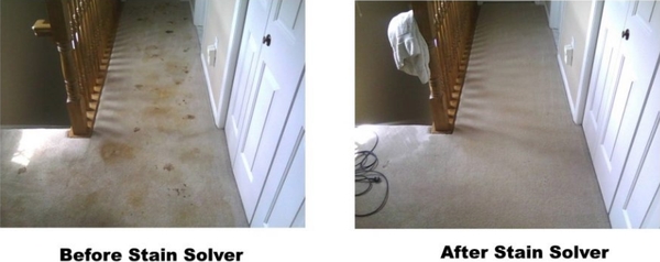 Stain Solver Cleans Carpet