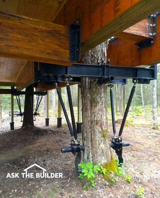 build a real tree house