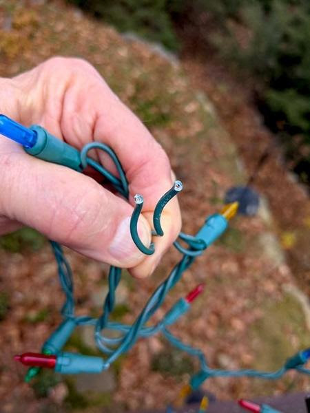 chewed christmas lights