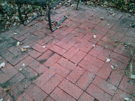clay paving brick patio in amberley village